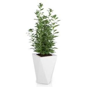 Monumo Vaso Outdoor Indoor Planter White Monumo Vaso Outdoor Indoor Planter White